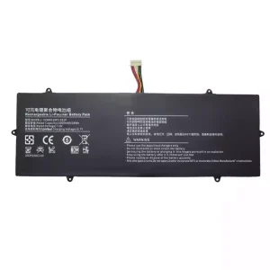 Laptop battery for V2988129PV-2S1P