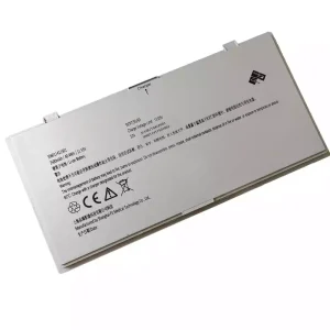New battery for PZ 306011411501 306011411502